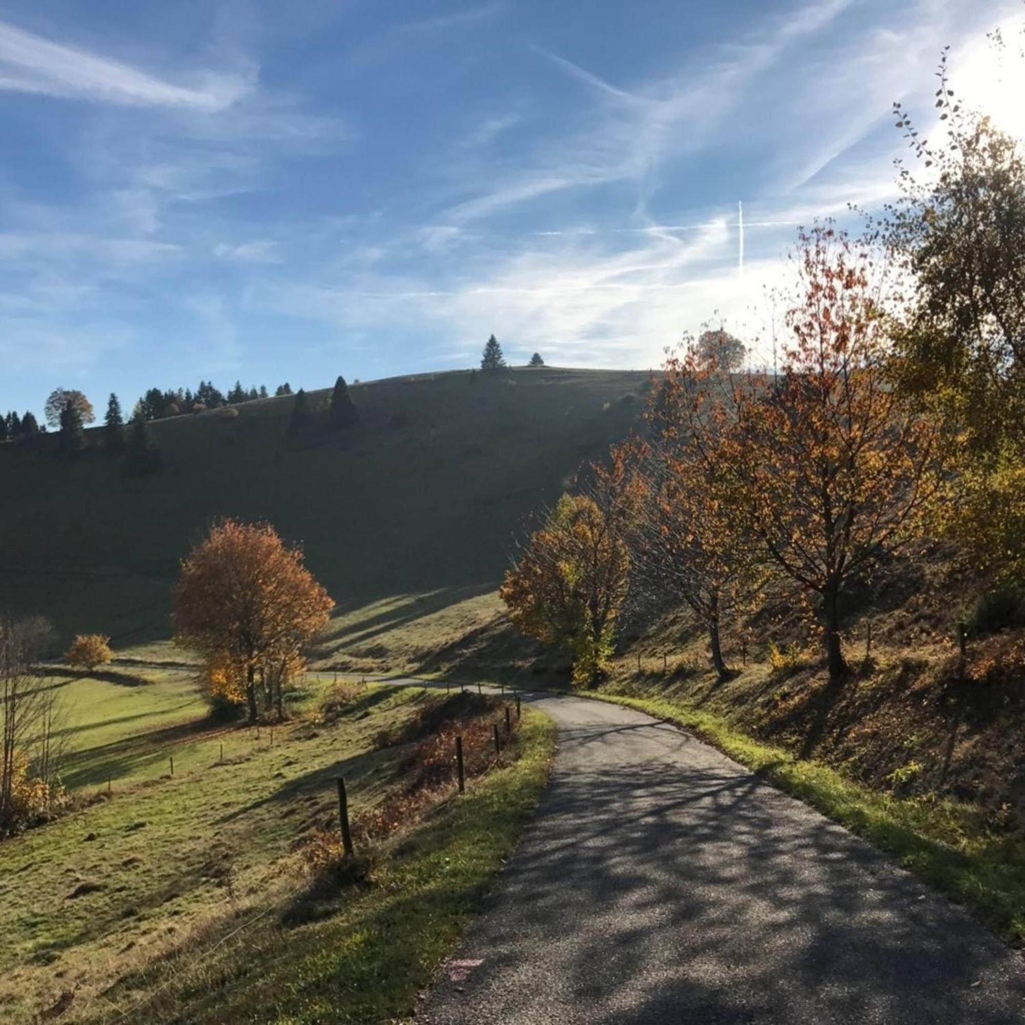 Gartenferienhaus "Annaluise" Schönau im Schwarzwald Exterior foto